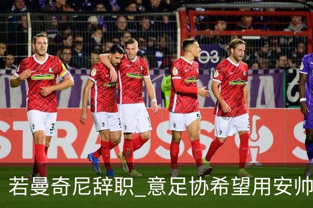 若曼奇尼辞职 意足协希望用安帅或卡纳瓦罗替代